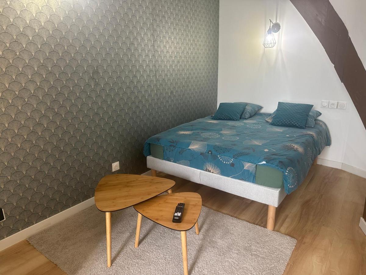 Magnifique Studio - Hypercentre Ancien Pieton Orleans - Wifi - Acces Autonome Εξωτερικό φωτογραφία